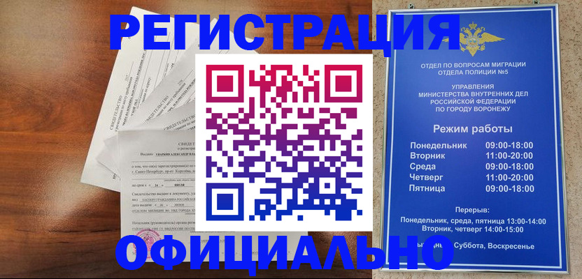 прописка поиск в Шали